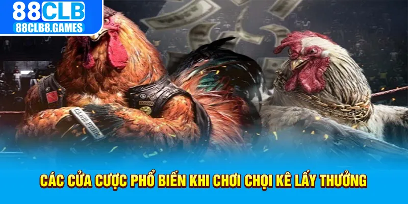 Các cửa cược phổ biến khi chơi chọi kê lấy thưởng