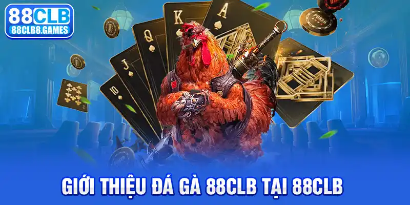 Giới thiệu Đá gà 88CLB tại 88CLB 